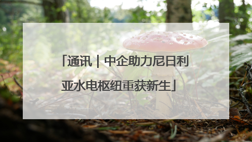 通讯｜中企助力尼日利亚水电枢纽重获新生