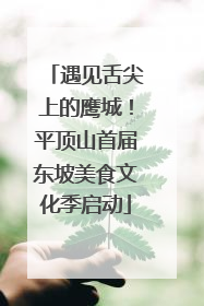 遇见舌尖上的鹰城！平顶山首届东坡美食文化季启动