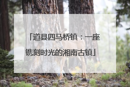 道县四马桥镇：一座镌刻时光的湘南古镇