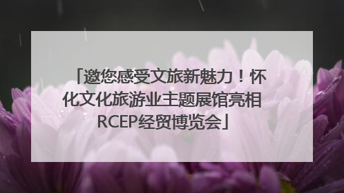 邀您感受文旅新魅力！怀化文化旅游业主题展馆亮相RCEP经贸博览会