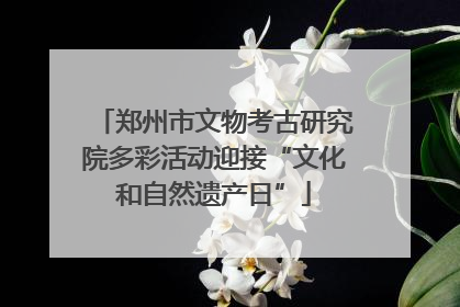 郑州市文物考古研究院多彩活动迎接“文化和自然遗产日”