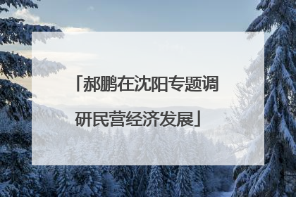 郝鹏在沈阳专题调研民营经济发展