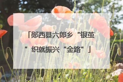 郧西县六郎乡“银茧”织就振兴“金路”