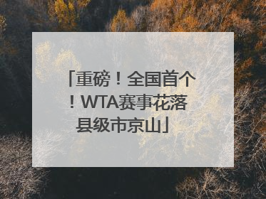 重磅！全国首个！WTA赛事花落县级市京山