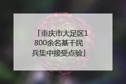 重庆市大足区1800余名基干民兵集中接受点验