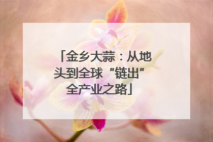 金乡大蒜：从地头到全球“链出”全产业之路