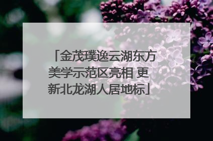 金茂璞逸云湖东方美学示范区亮相 更新北龙湖人居地标