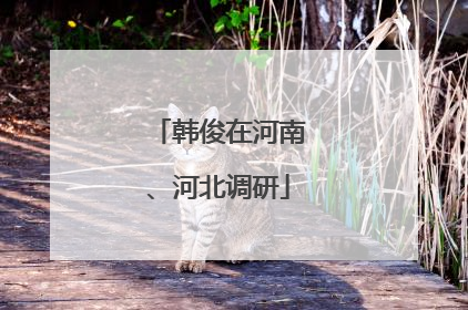 韩俊在河南、河北调研