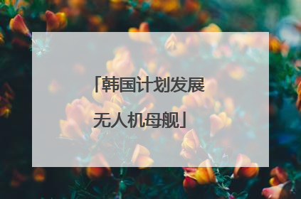 韩国计划发展无人机母舰