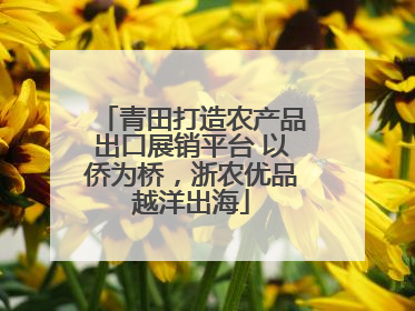 青田打造农产品出口展销平台 以侨为桥，浙农优品越洋出海