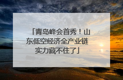 青岛峰会首秀！山东低空经济全产业链实力藏不住了