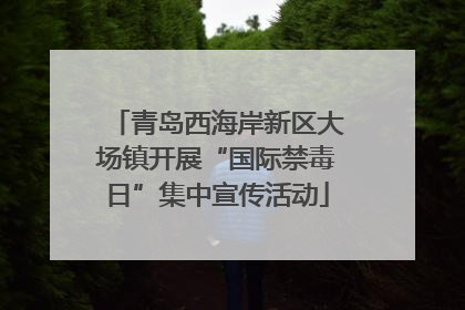 青岛西海岸新区大场镇开展“国际禁毒日”集中宣传活动