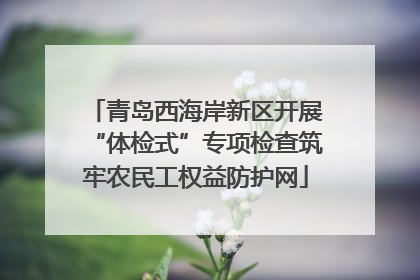 青岛西海岸新区开展“体检式”专项检查筑牢农民工权益防护网