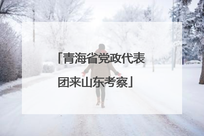 青海省党政代表团来山东考察