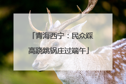 青海西宁：民众踩高跷跳锅庄过端午