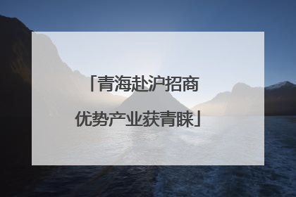 青海赴沪招商 优势产业获青睐