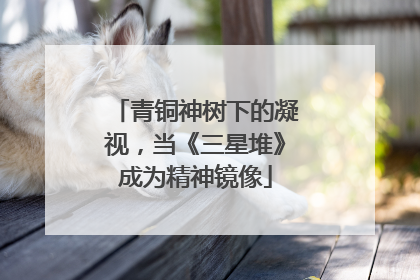 青铜神树下的凝视，当《三星堆》成为精神镜像