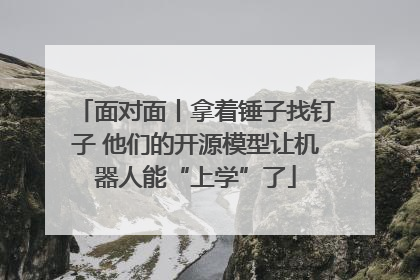面对面丨拿着锤子找钉子 他们的开源模型让机器人能“上学”了