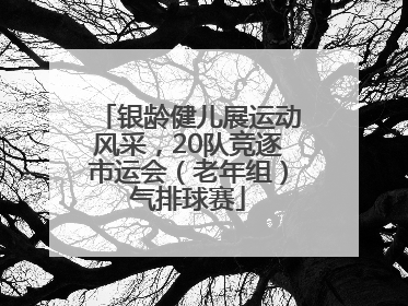 银龄健儿展运动风采，20队竞逐市运会（老年组）气排球赛