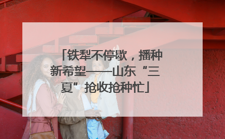铁犁不停歇，播种新希望——山东“三夏”抢收抢种忙