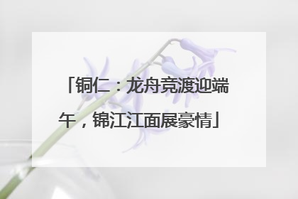 铜仁：龙舟竞渡迎端午，锦江江面展豪情