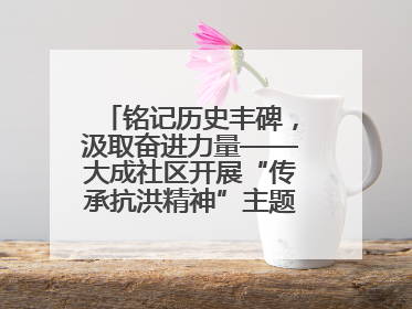 铭记历史丰碑，汲取奋进力量——大成社区开展“传承抗洪精神”主题党日活动