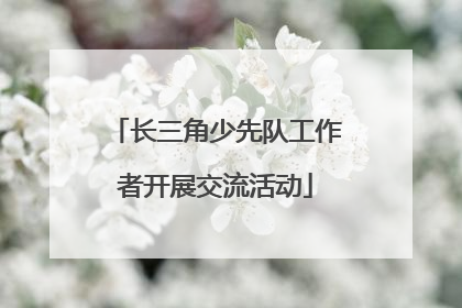 长三角少先队工作者开展交流活动