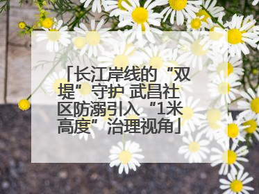 长江岸线的“双堤”守护 武昌社区防溺引入“1米高度”治理视角