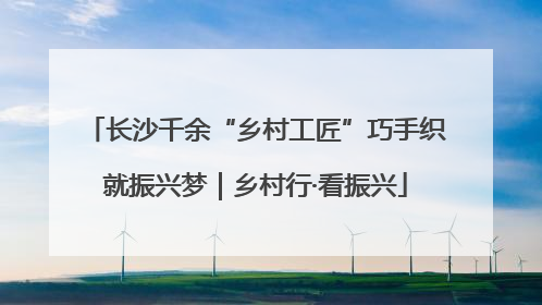 长沙千余“乡村工匠”巧手织就振兴梦｜乡村行·看振兴