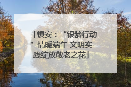 镇安：“银龄行动”情暖端午 文明实践绽放敬老之花