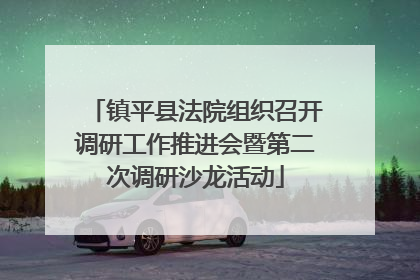 镇平县法院组织召开调研工作推进会暨第二次调研沙龙活动