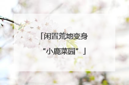 闲置荒地变身“小鹿菜园”