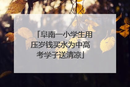 阜南一小学生用压岁钱买水为中高考学子送清凉