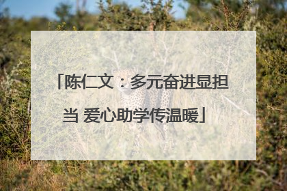 陈仁文：多元奋进显担当 爱心助学传温暖