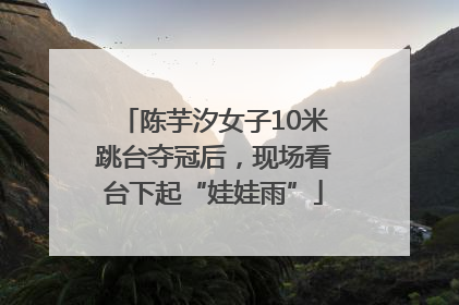 陈芋汐女子10米跳台夺冠后，现场看台下起“娃娃雨”