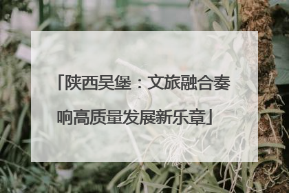 陕西吴堡：文旅融合奏响高质量发展新乐章