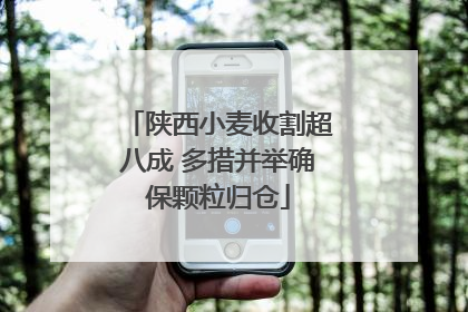 陕西小麦收割超八成 多措并举确保颗粒归仓