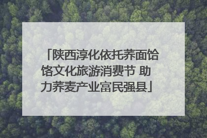 陕西淳化依托荞面饸饹文化旅游消费节 助力荞麦产业富民强县