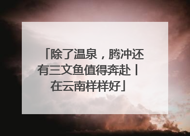 除了温泉，腾冲还有三文鱼值得奔赴丨在云南样样好