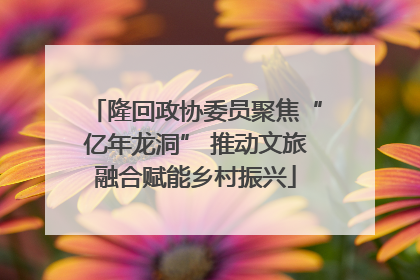 隆回政协委员聚焦“亿年龙洞” 推动文旅融合赋能乡村振兴