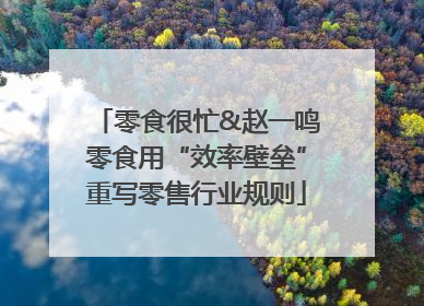 零食很忙&赵一鸣零食用“效率壁垒”重写零售行业规则