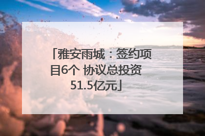 雅安雨城：签约项目6个 协议总投资51.5亿元