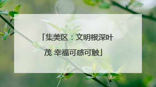 集美区：文明根深叶茂 幸福可感可触