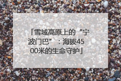 雪域高原上的“宁波门巴”：海拔4500米的生命守护