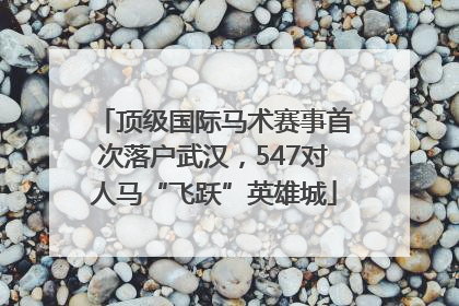 顶级国际马术赛事首次落户武汉，547对人马“飞跃”英雄城