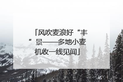 风吹麦浪好“丰”景——多地小麦机收一线见闻