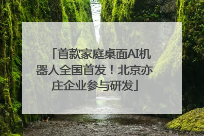 首款家庭桌面AI机器人全国首发！北京亦庄企业参与研发
