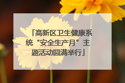 高新区卫生健康系统“安全生产月”主题活动圆满举行