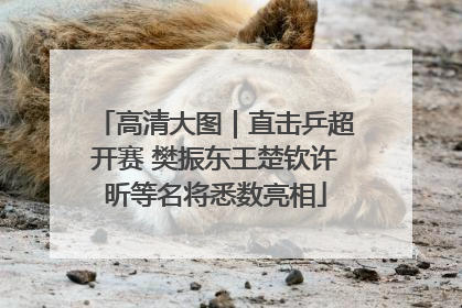 高清大图｜直击乒超开赛 樊振东王楚钦许昕等名将悉数亮相