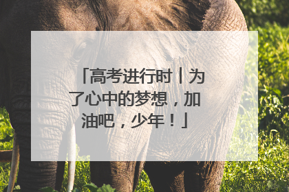 高考进行时︱为了心中的梦想，加油吧，少年！